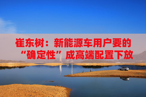 崔东树：新能源车用户要的“确定性”成高端配置下放关键