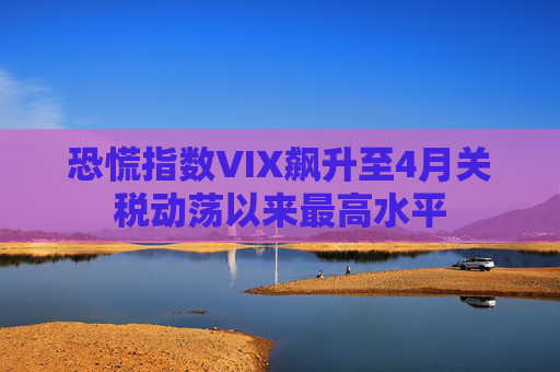 恐慌指数VIX飙升至4月关税动荡以来最高水平