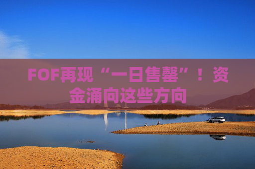 FOF再现“一日售罄”!资金涌向这些方向 第1张 FOF再现“一日售罄”!资金涌向这些方向 第1张