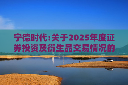 宁德时代:关于2025年度证券投资及衍生品交易情况的专项说明