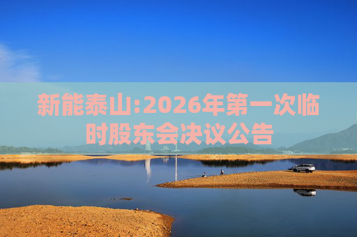 新能泰山:2026年第一次临时股东会决议公告
