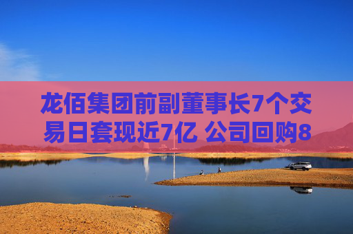 龙佰集团前副董事长7个交易日套现近7亿 公司回购8个月仅花2548万元！股吧投资者质疑“公司就不想回购”