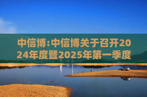 中信博:中信博关于召开2024年度暨2025年第一季度业绩说明会的公告