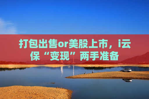 打包出售or美股上市，i云保“变现”两手准备