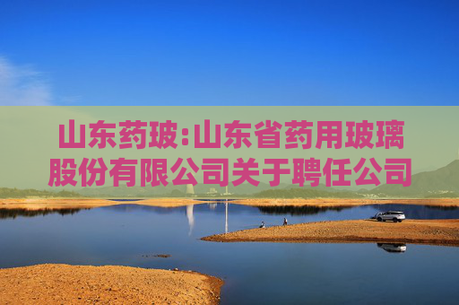 山东药玻:山东省药用玻璃股份有限公司关于聘任公司2026年度审计机构的公告