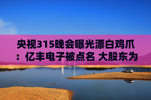 央视315晚会曝光漂白鸡爪：亿丰电子被点名 大股东为A股上市公司多氟多