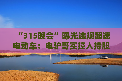 “315晚会”曝光违规超速电动车：电驴哥实控人持股公司经营异常，黑骑士去年变更股东