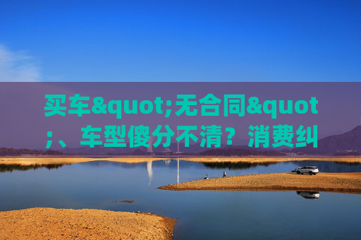 买车"无合同"、车型傻分不清？消费纠纷这样维权更有效