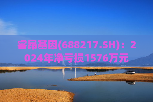 睿昂基因(688217.SH)：2024年净亏损1576万元