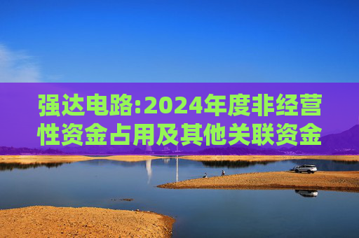 强达电路:2024年度非经营性资金占用及其他关联资金往来情况汇总表