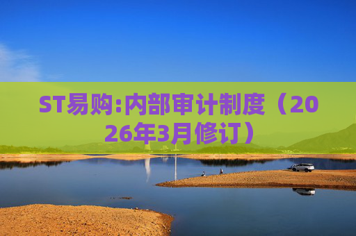 ST易购:内部审计制度（2026年3月修订）