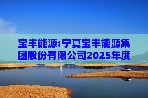 宝丰能源:宁夏宝丰能源集团股份有限公司2025年度独立董事述职报告（孙积禄）