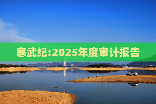 寒武纪:2025年度审计报告