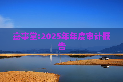 嘉事堂:2025年年度审计报告