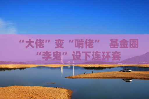 “大佬”变“啃佬”  基金圈“李鬼”设下连环套