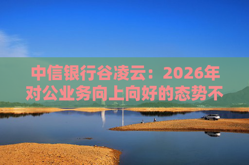 中信银行谷凌云：2026年对公业务向上向好的态势不会改变