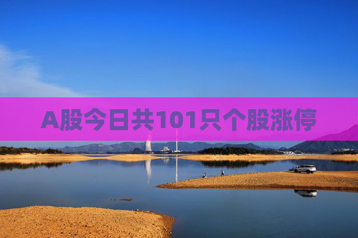 A股今日共101只个股涨停