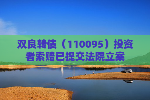 双良转债（110095）投资者索赔已提交法院立案