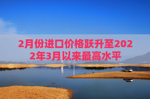 2月份进口价格跃升至2022年3月以来最高水平