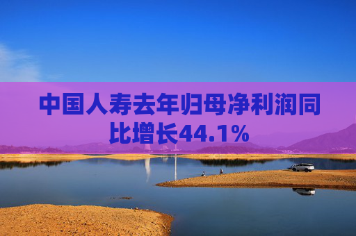中国人寿去年归母净利润同比增长44.1%