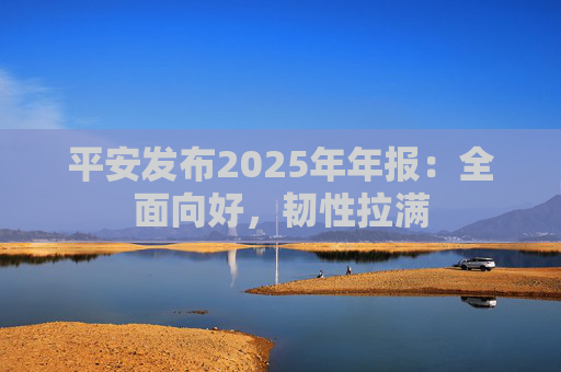 平安发布2025年年报：全面向好，韧性拉满
