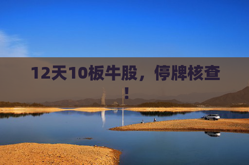 12天10板牛股，停牌核查！