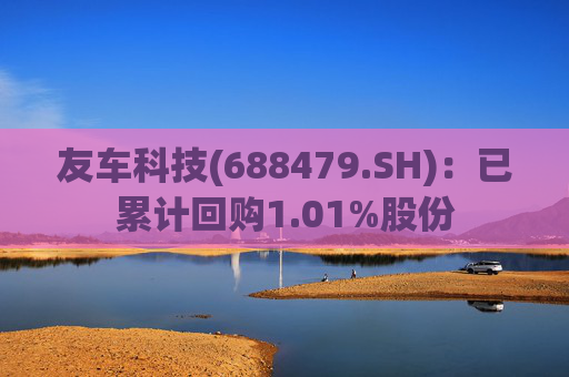 友车科技(688479.SH)：已累计回购1.01%股份