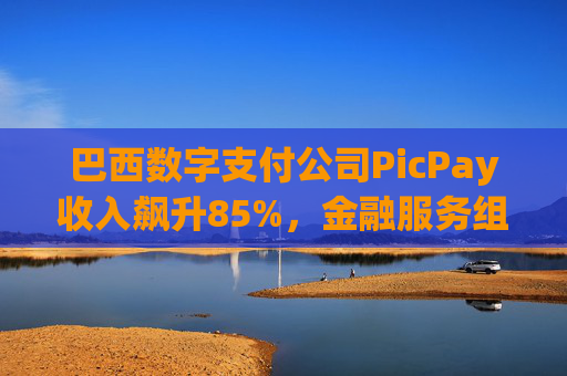 巴西数字支付公司PicPay收入飙升85%，金融服务组合持续扩大