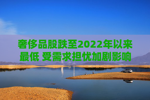 奢侈品股跌至2022年以来最低 受需求担忧加剧影响