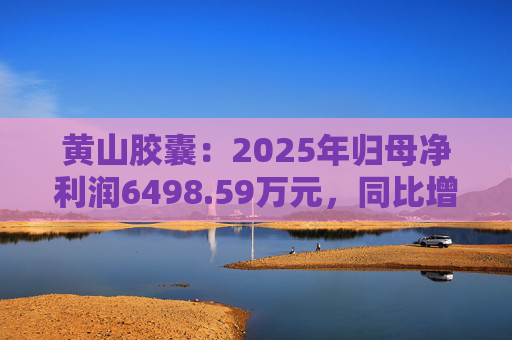 黄山胶囊：2025年归母净利润6498.59万元，同比增长31.94%  第1张