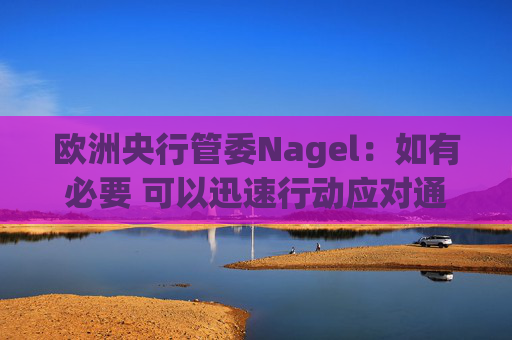 欧洲央行管委Nagel:如有必要 可以迅速行动应对通胀风险 第1张 欧洲央行管委Nagel:如有必要 可以迅速行动应对通胀风险 第1张
