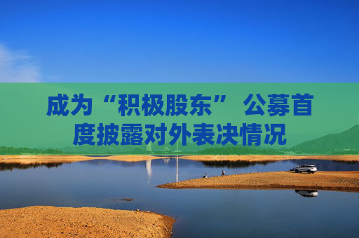 成为“积极股东” 公募首度披露对外表决情况