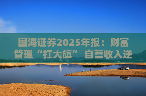 国海证券2025年报：财富管理“扛大旗” 自营收入逆势大降 投行收入占比仅2%