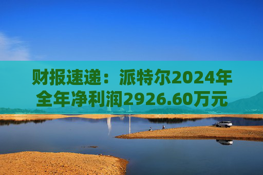 财报速递：派特尔2024年全年净利润2926.60万元  第1张