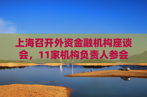 上海召开外资金融机构座谈会，11家机构负责人参会