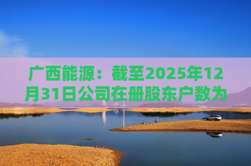 广西能源：截至2025年12月31日公司在册股东户数为53413户