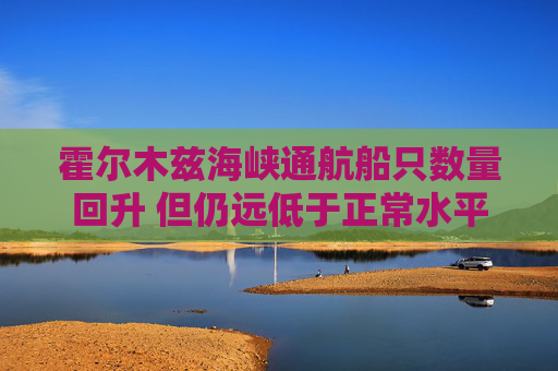 霍尔木兹海峡通航船只数量回升 但仍远低于正常水平