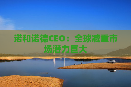 诺和诺德CEO：全球减重市场潜力巨大