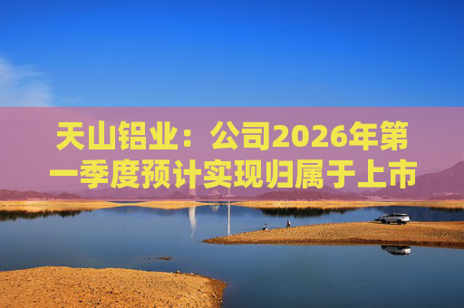 天山铝业：公司2026年第一季度预计实现归属于上市公司股东的净利润220000万元
