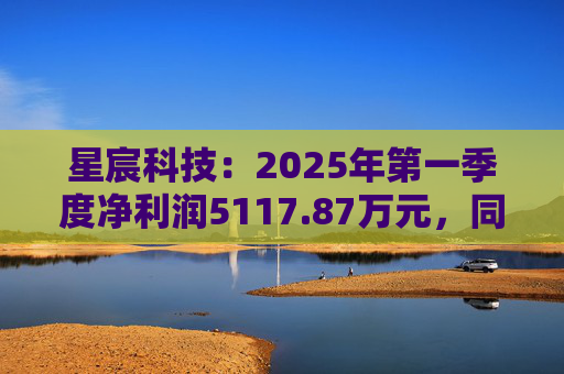 星宸科技：2025年第一季度净利润5117.87万元，同比增长0.48%