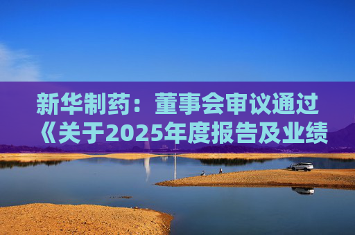 新华制药：董事会审议通过《关于2025年度报告及业绩公告的议案》等多项议案