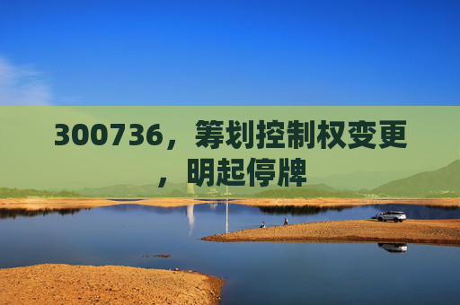 300736，筹划控制权变更，明起停牌