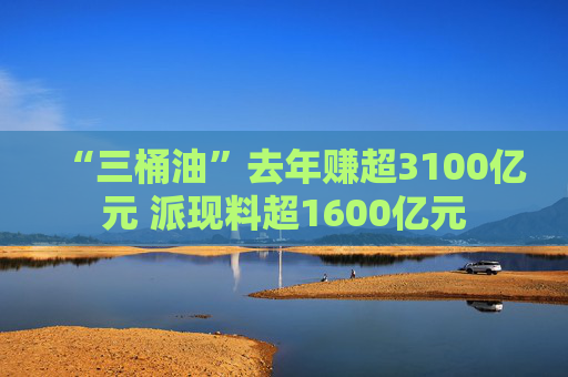 “三桶油”去年赚超3100亿元 派现料超1600亿元