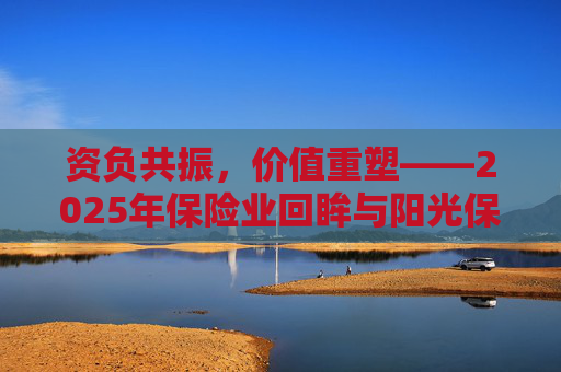 资负共振，价值重塑――2025年保险业回眸与阳光保险样本