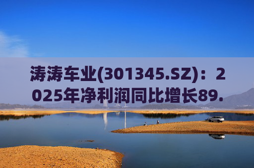 涛涛车业(301345.SZ)：2025年净利润同比增长89.29% 拟10派15元