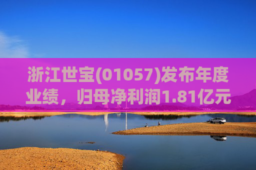 浙江世宝(01057)发布年度业绩，归母净利润1.81亿元 同比增加21.05%