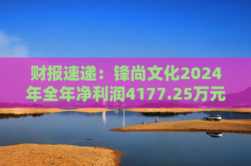 财报速递：锋尚文化2024年全年净利润4177.25万元