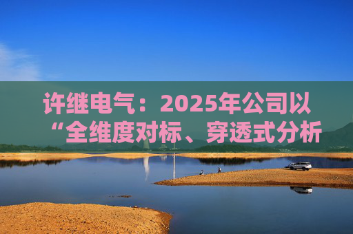 许继电气：2025年公司以“全维度对标、穿透式分析、动态化管控”为核心