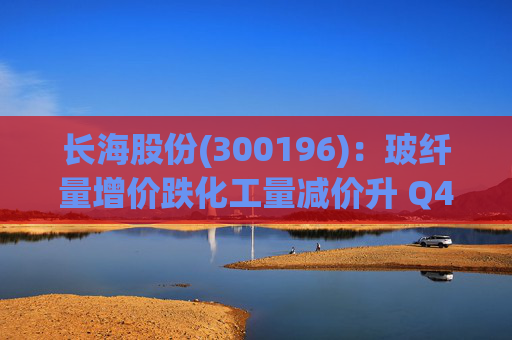 长海股份(300196)：玻纤量增价跌化工量减价升 Q4业绩同比显著修复