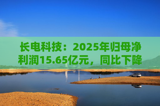 长电科技：2025年归母净利润15.65亿元，同比下降2.75%